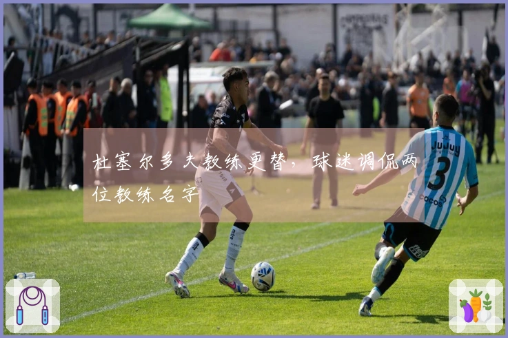 杜塞尔多夫教练更替，球迷调侃两位教练名字