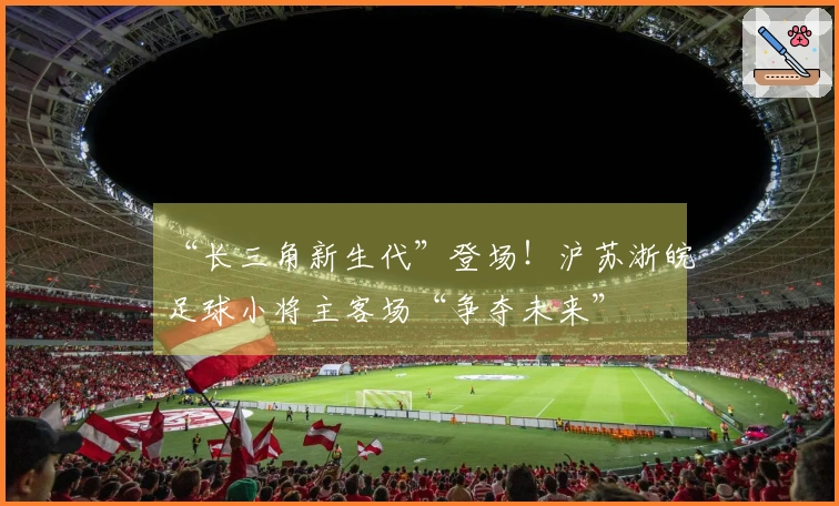 “长三角新生代”登场！沪苏浙皖足球小将主客场“争夺未来”