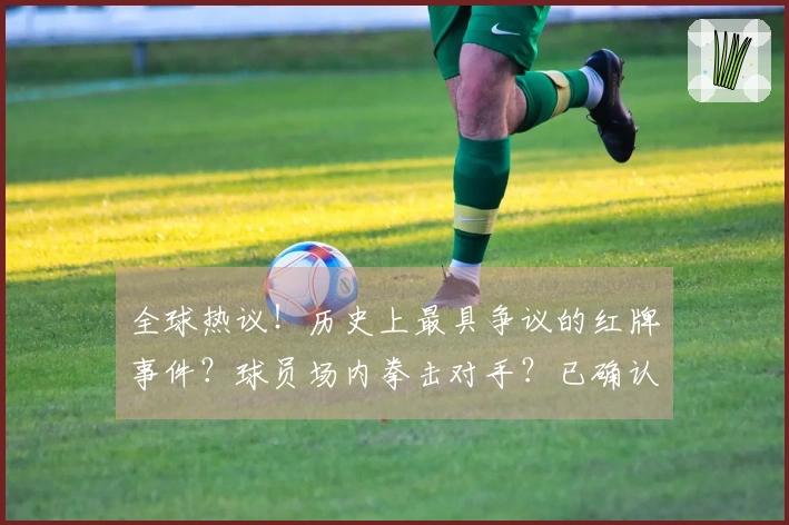 全球热议！历史上最具争议的红牌事件？球员场内拳击对手？已确认系AI创作